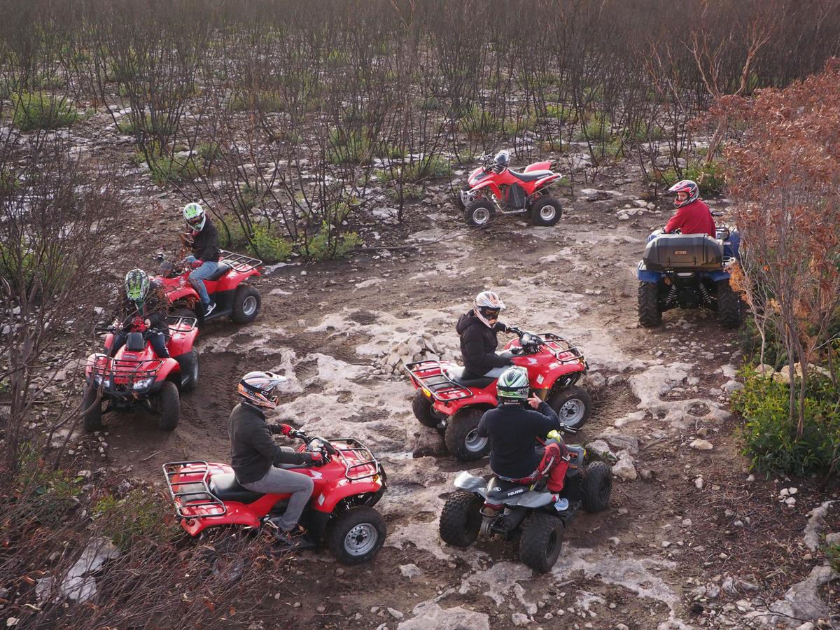 Sunset Kangaroo Safari Quad Adventure