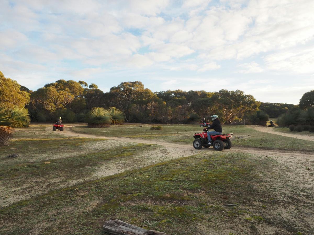 Quad Bike Discovery Tour