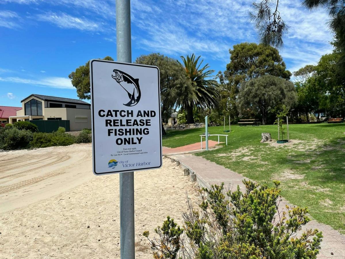 Catch and release fishing sign.