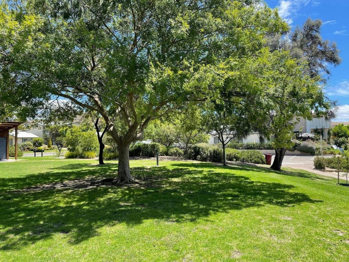 Shady area on the grass.
