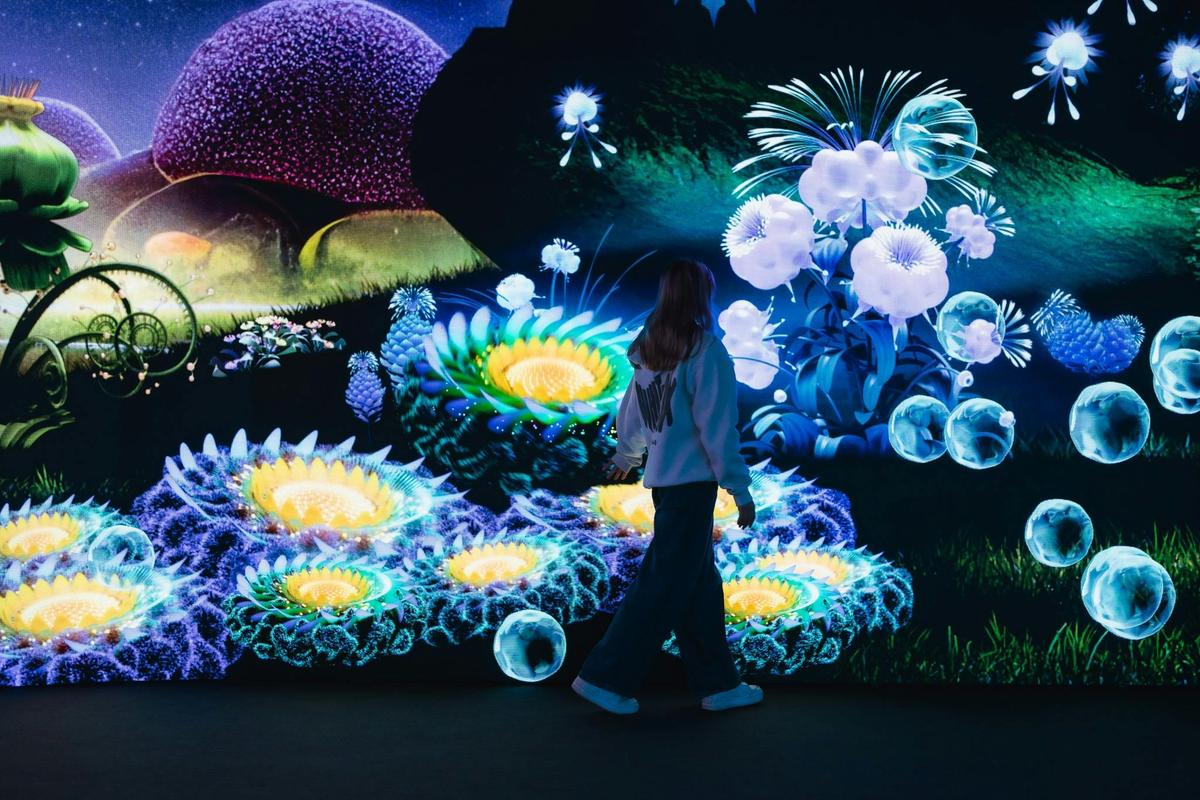 EDEN for Illuminate Adelaide
