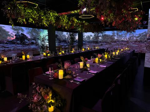 Immersive Light and Art