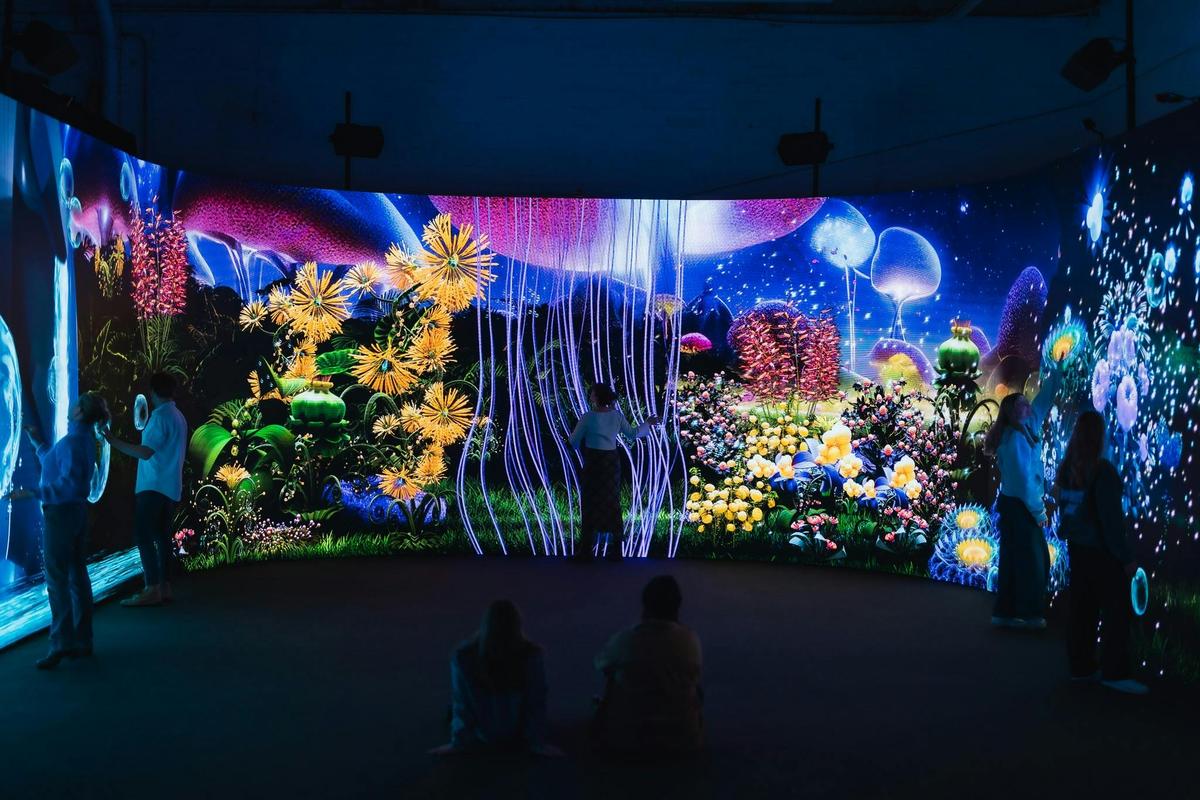 EDEN for Illuminate Adelaide