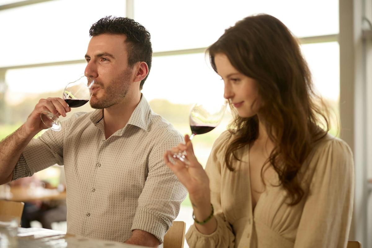 Vineyard Horse-Ride and Taste at Jacob's Creek