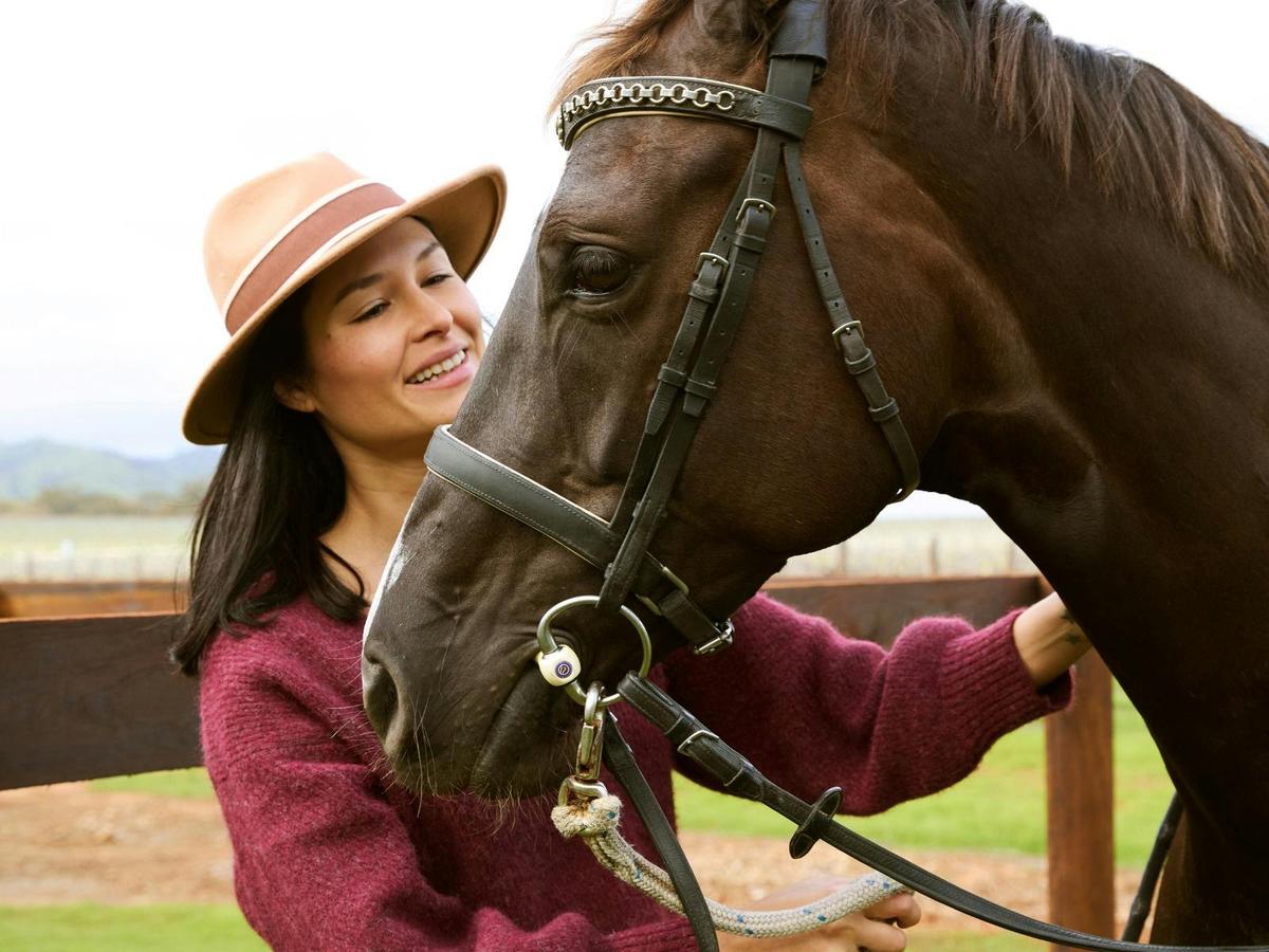 Scenic Horse Ride (1.5hr) & Romantic Picnic at Jacob's Creek