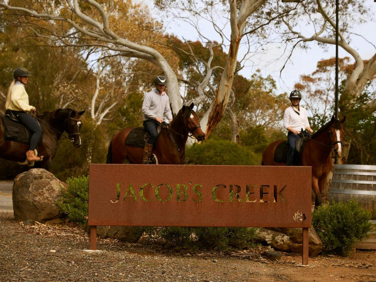 Vineyard Horse Ride & Romantic Picnic at Jacob's Creek