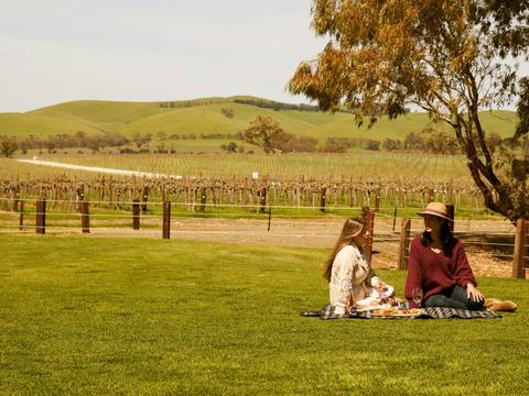Vineyard Horse Ride & Romantic Picnic at Jacob's Creek