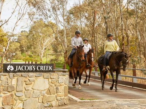 Scenic Horse Ride (1.5hr) & Romantic Picnic at Jacob's Creek