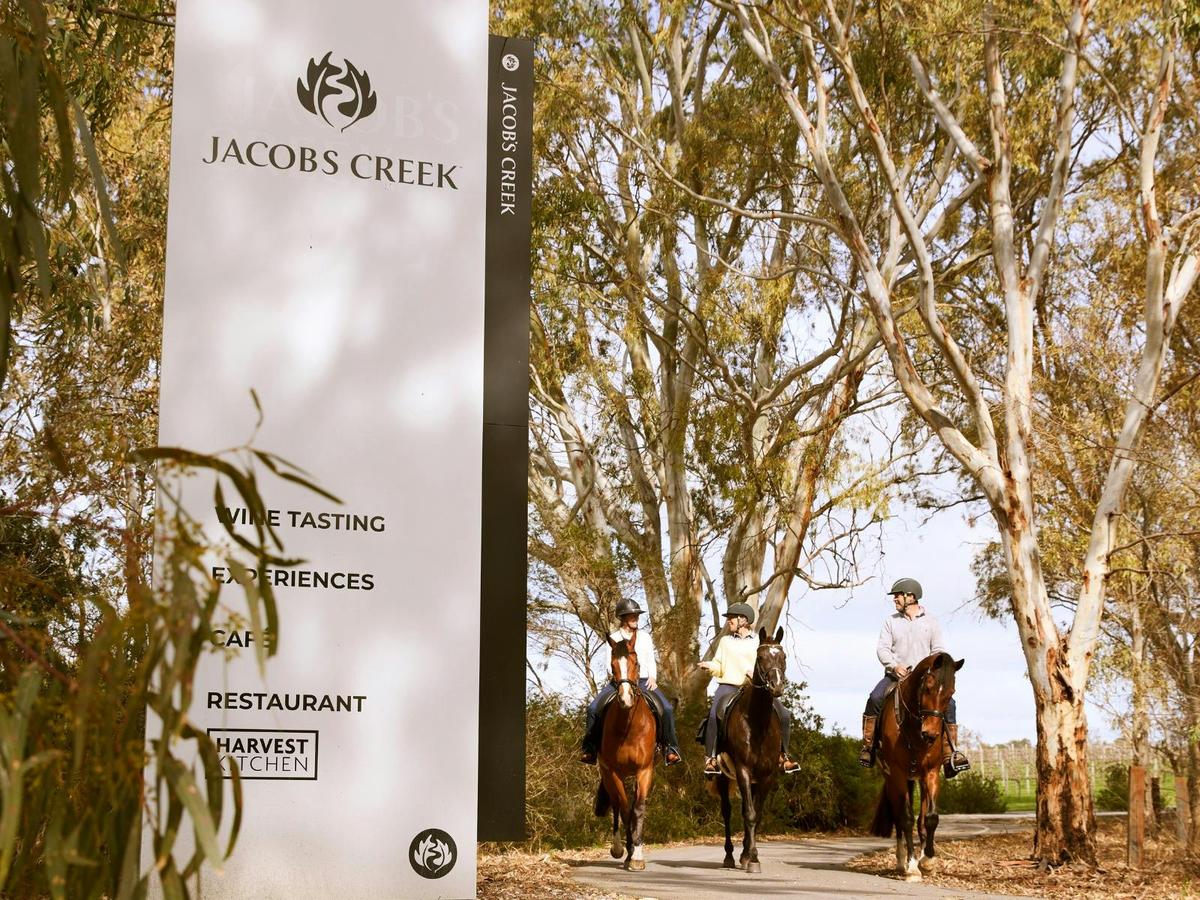 Vineyard Horse-Ride and Taste at Jacob's Creek