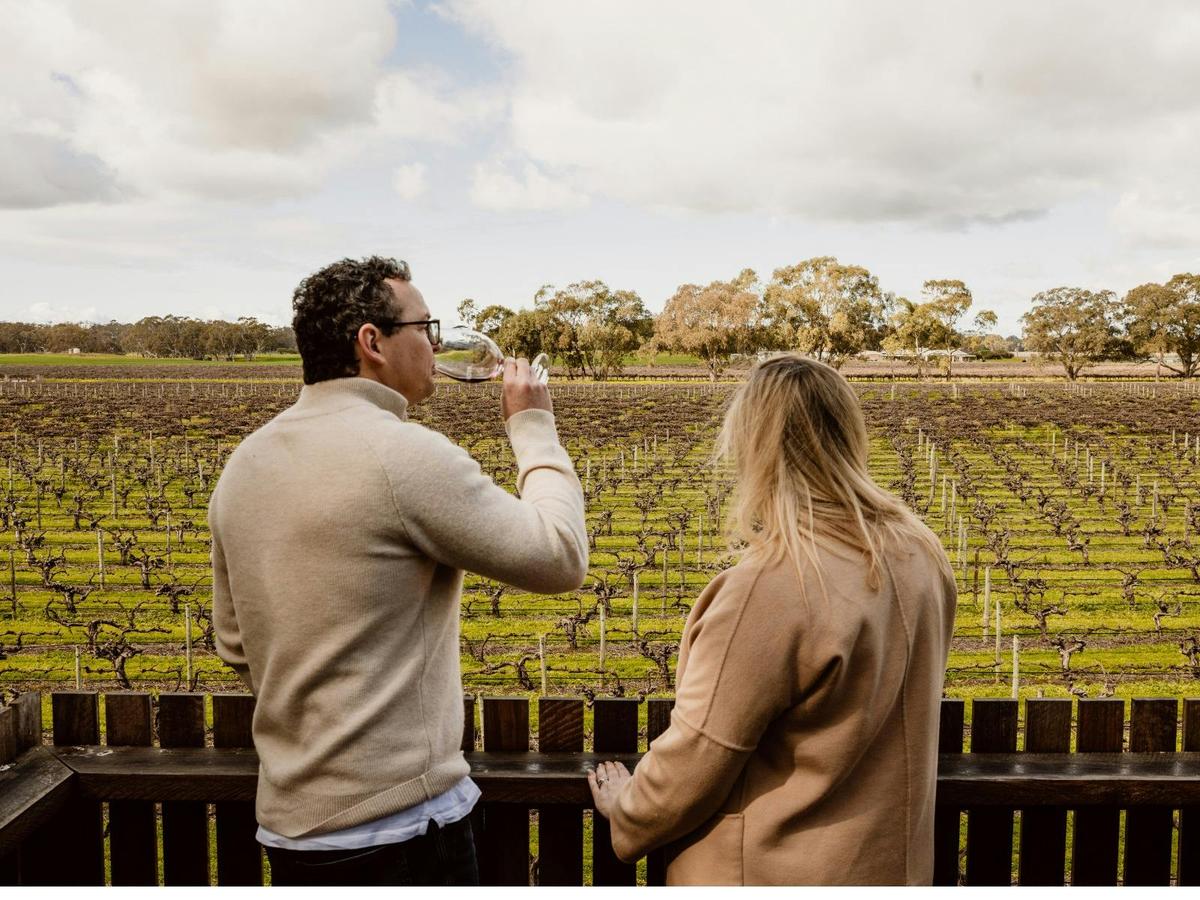 Seated Wine Tasting Experience