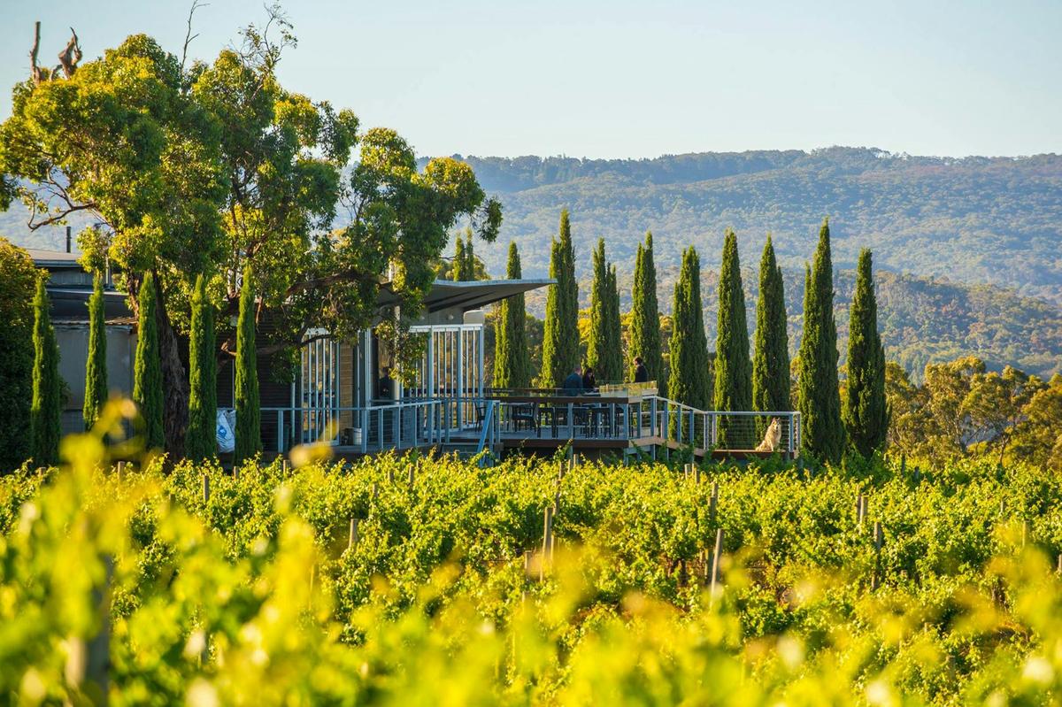 Jurlique Farm Tour & Hills Long Lunch