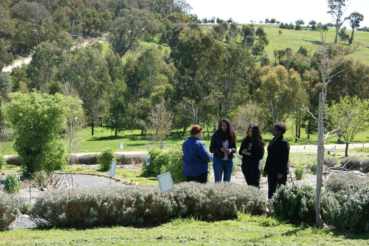 Jurlique Farm Tour & Hills Long Lunch