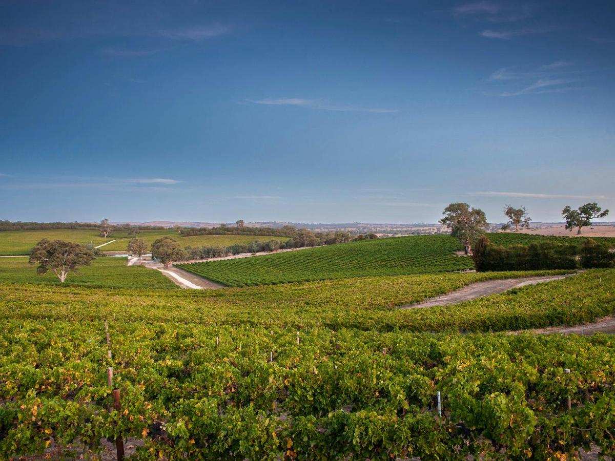Irvine Wines