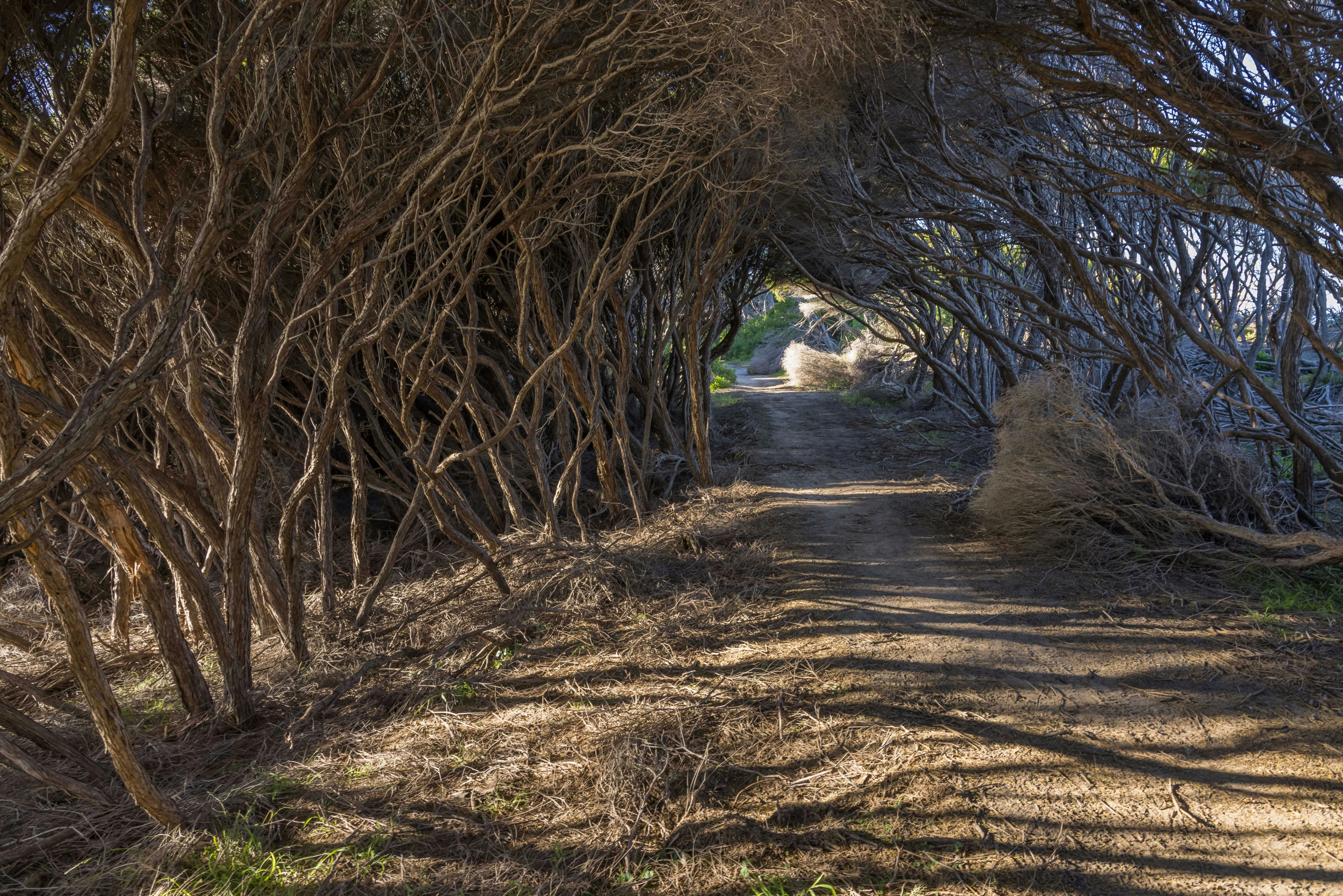 Tura Headland Walking Track
