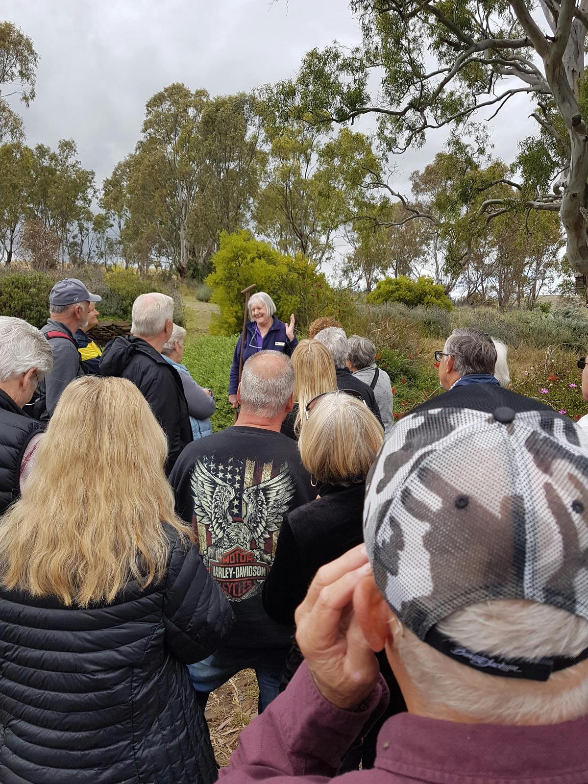 Guided Tour with Local Platters to Share