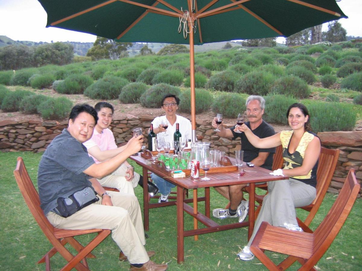 Guided Tour with Lavender Tea-Party