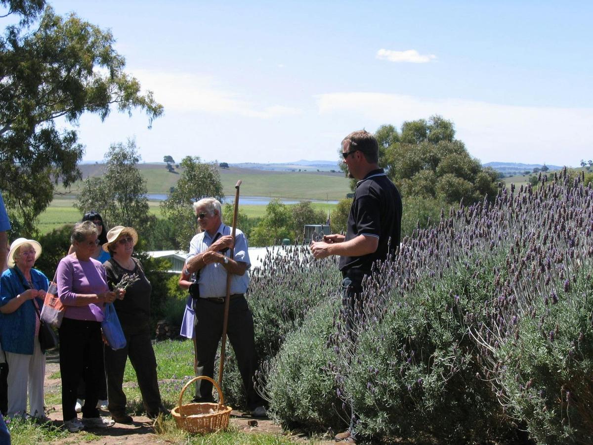 Guided Tour with Morning/Afternoon Tea