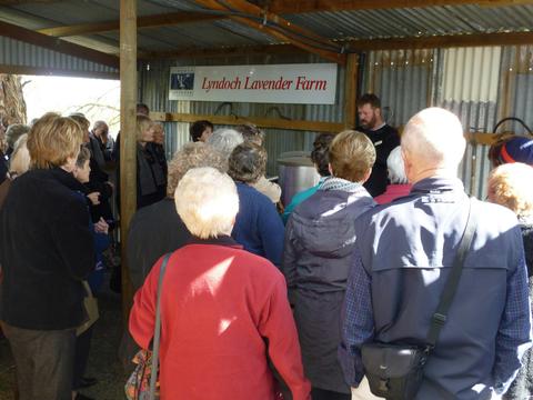 Guided Tour with Local Platters to Share