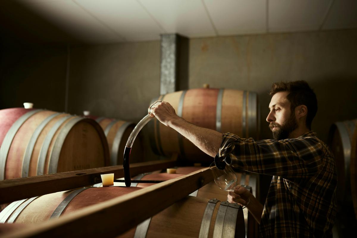 Winemaker in barrel hall