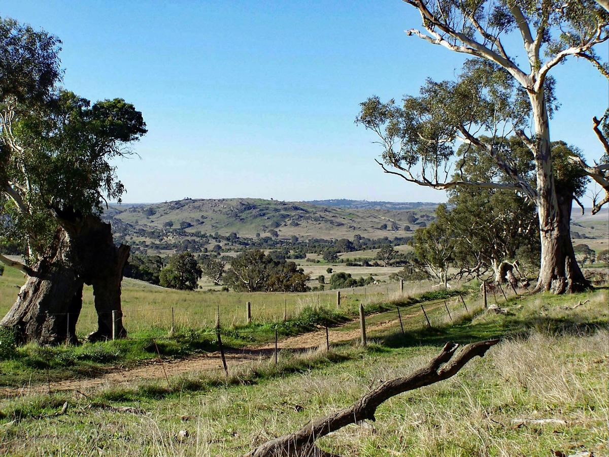 Lavender Federation Trail between Springton & Eden Valley