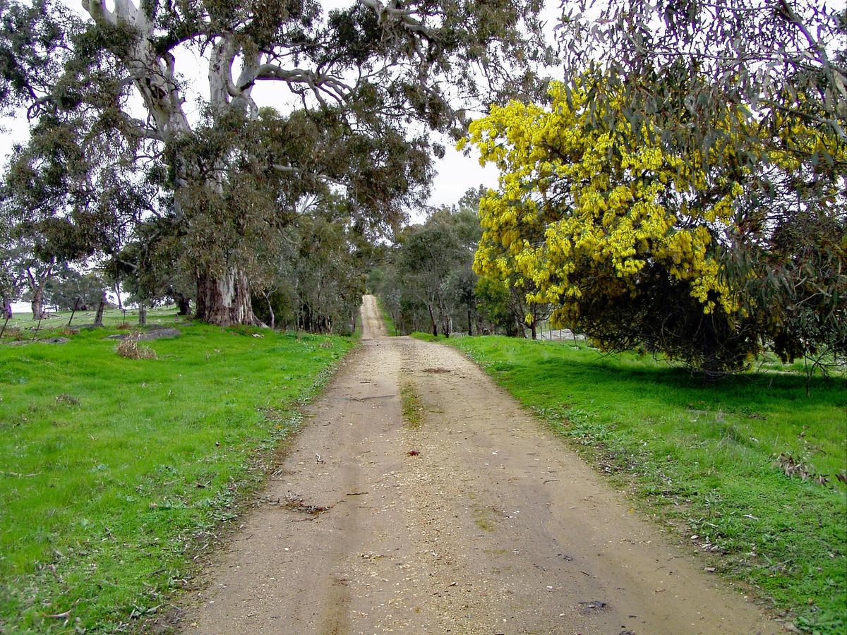 A quiet back track north of Tungkillo near Kooralbyn