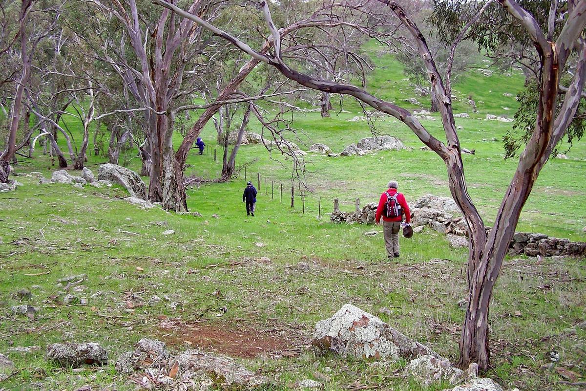 Main trail between Springton and Truro along a road reserve