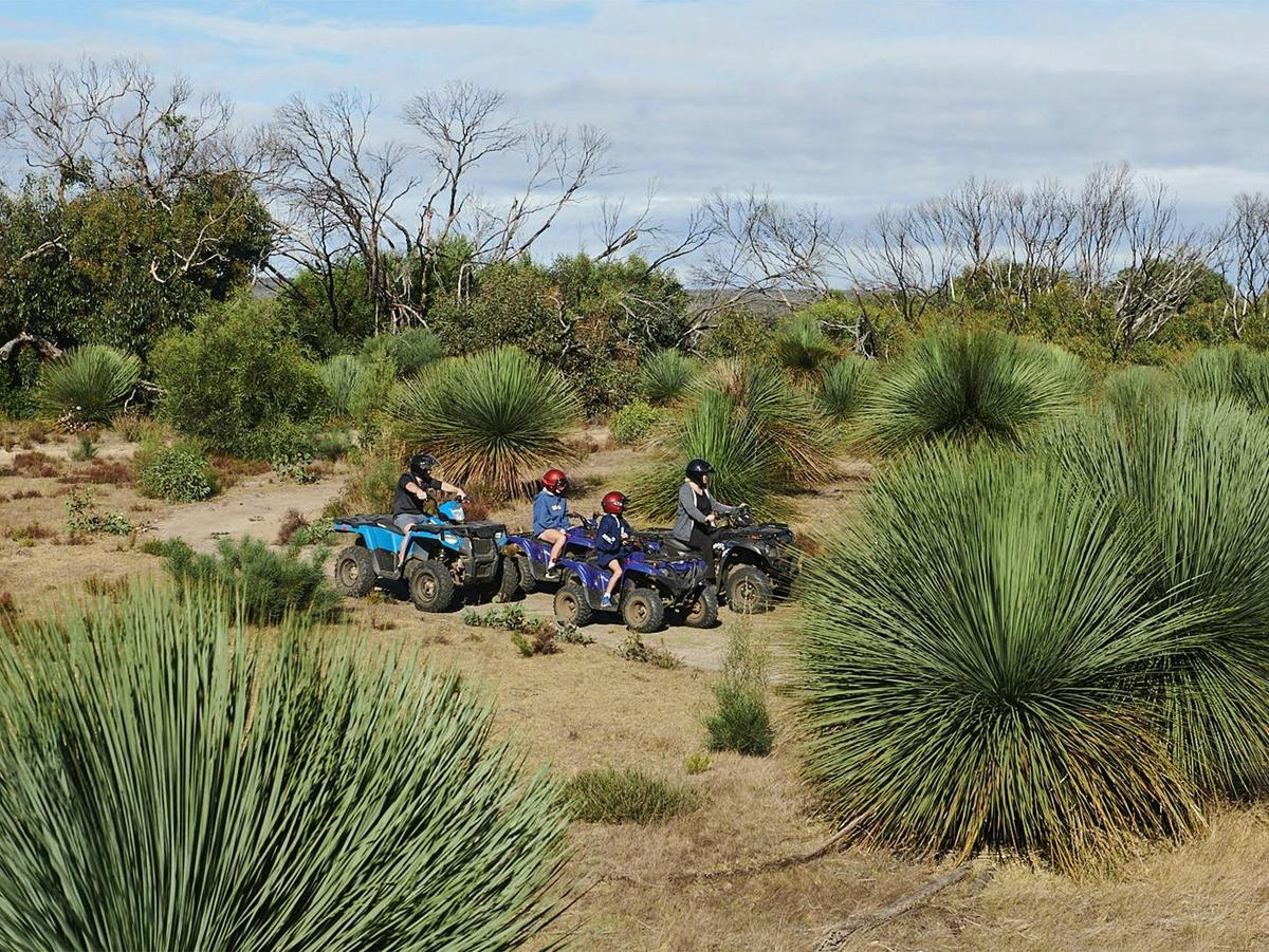 People on Quad bikes