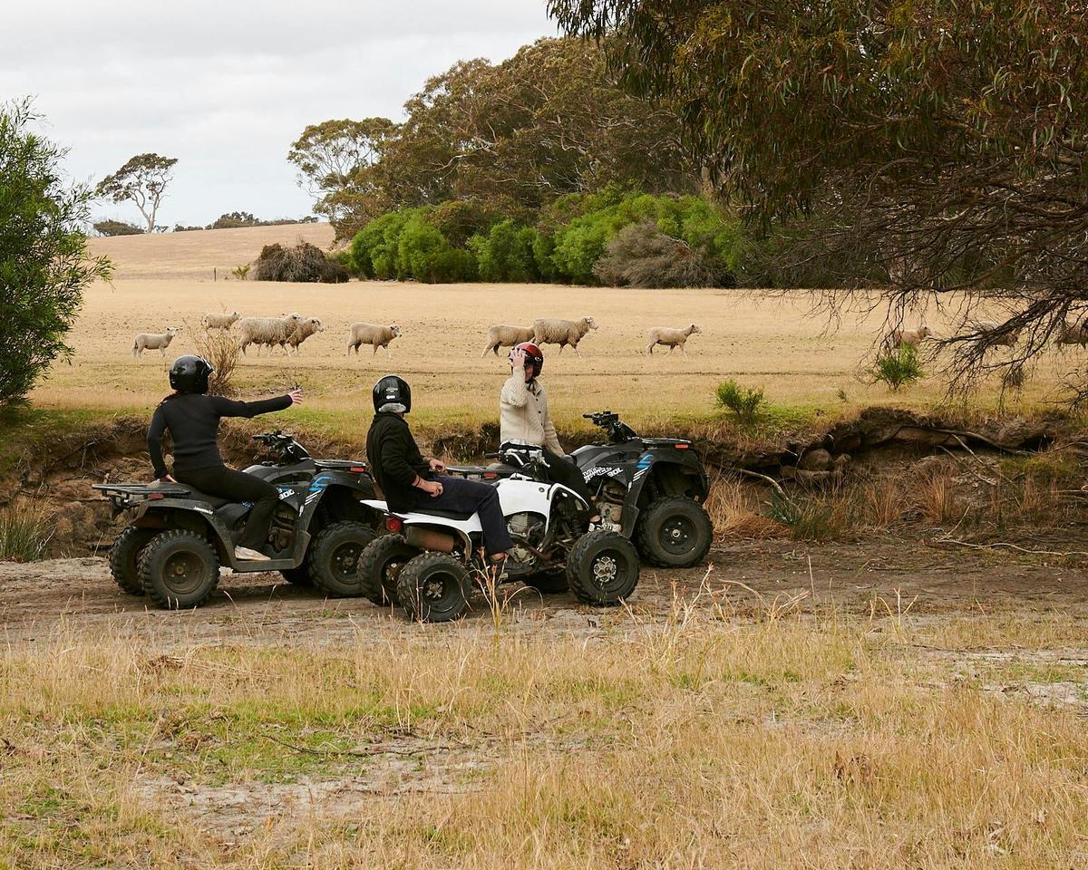 People on quad bikes