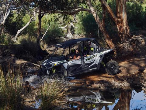 Buggy Tours
