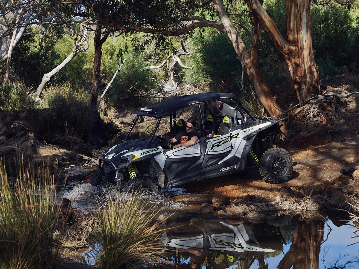 Buggy Tours