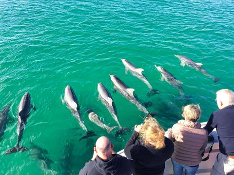 75-Minute Coastal Safari