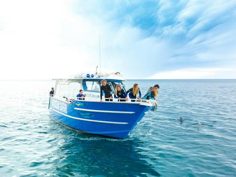 Kangaroo Island Ocean Safari