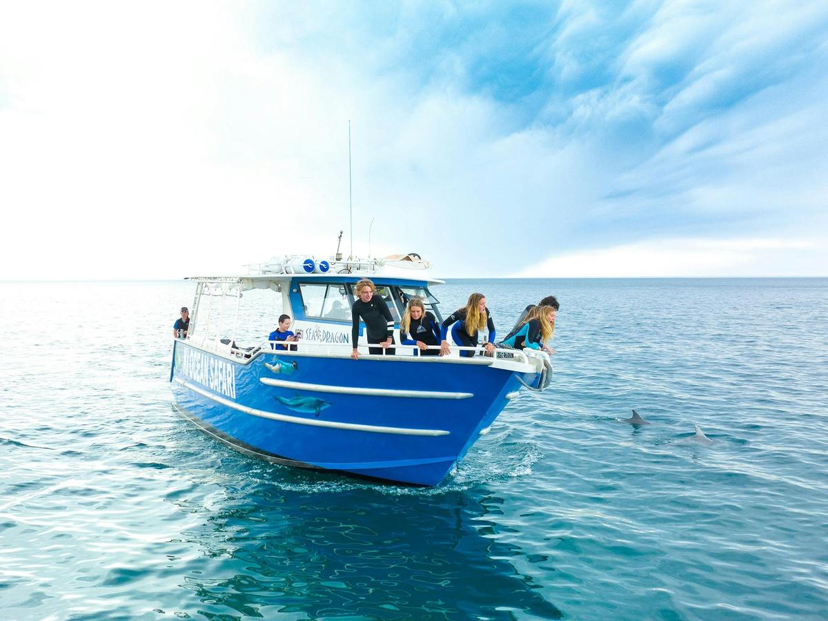 See amazing wild marine life upclose
