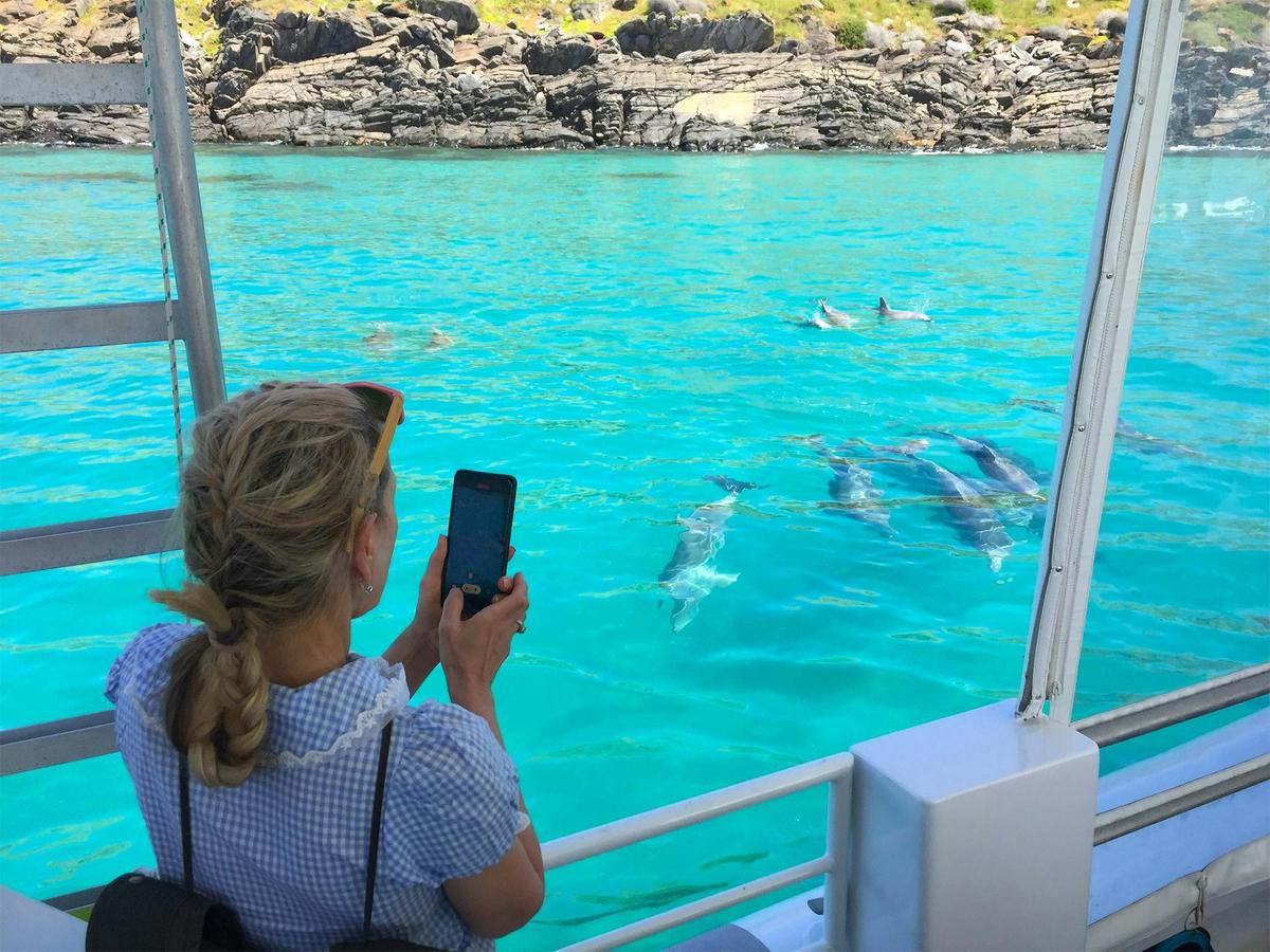75-Minute Coastal Safari