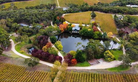 K1 Wines