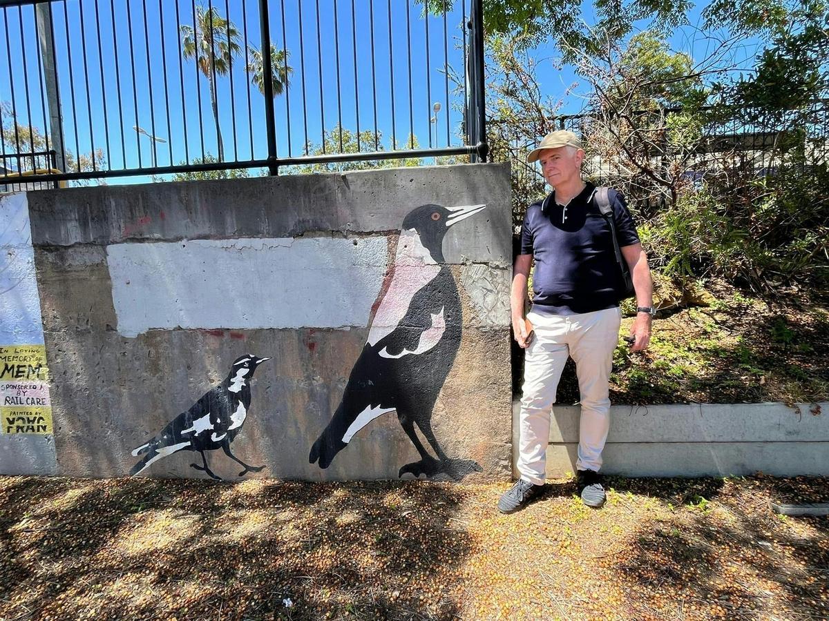 Magpie tour guide comes face-to-face with family of Magpies