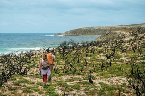 Kangaroo Island Wilderness Trail