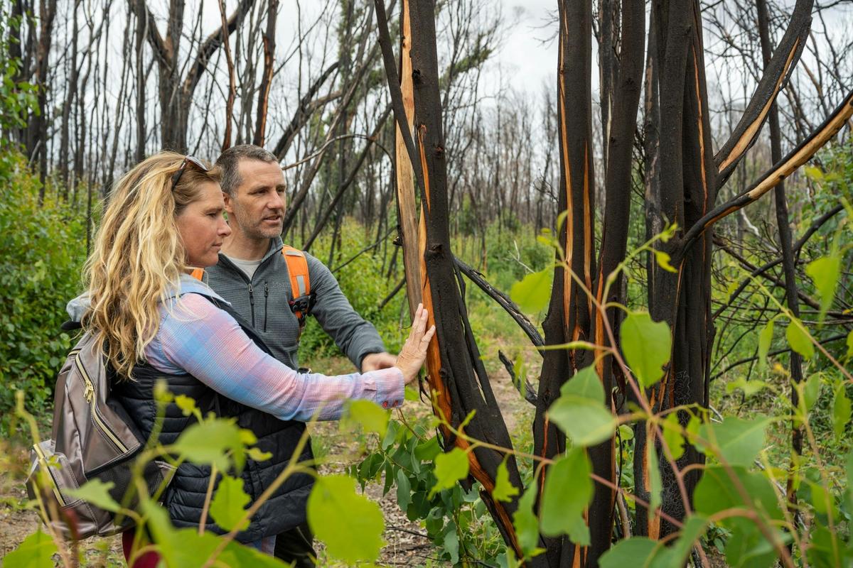 A couple looking at the foliage along the Kangaroo Island Wilderness Trail