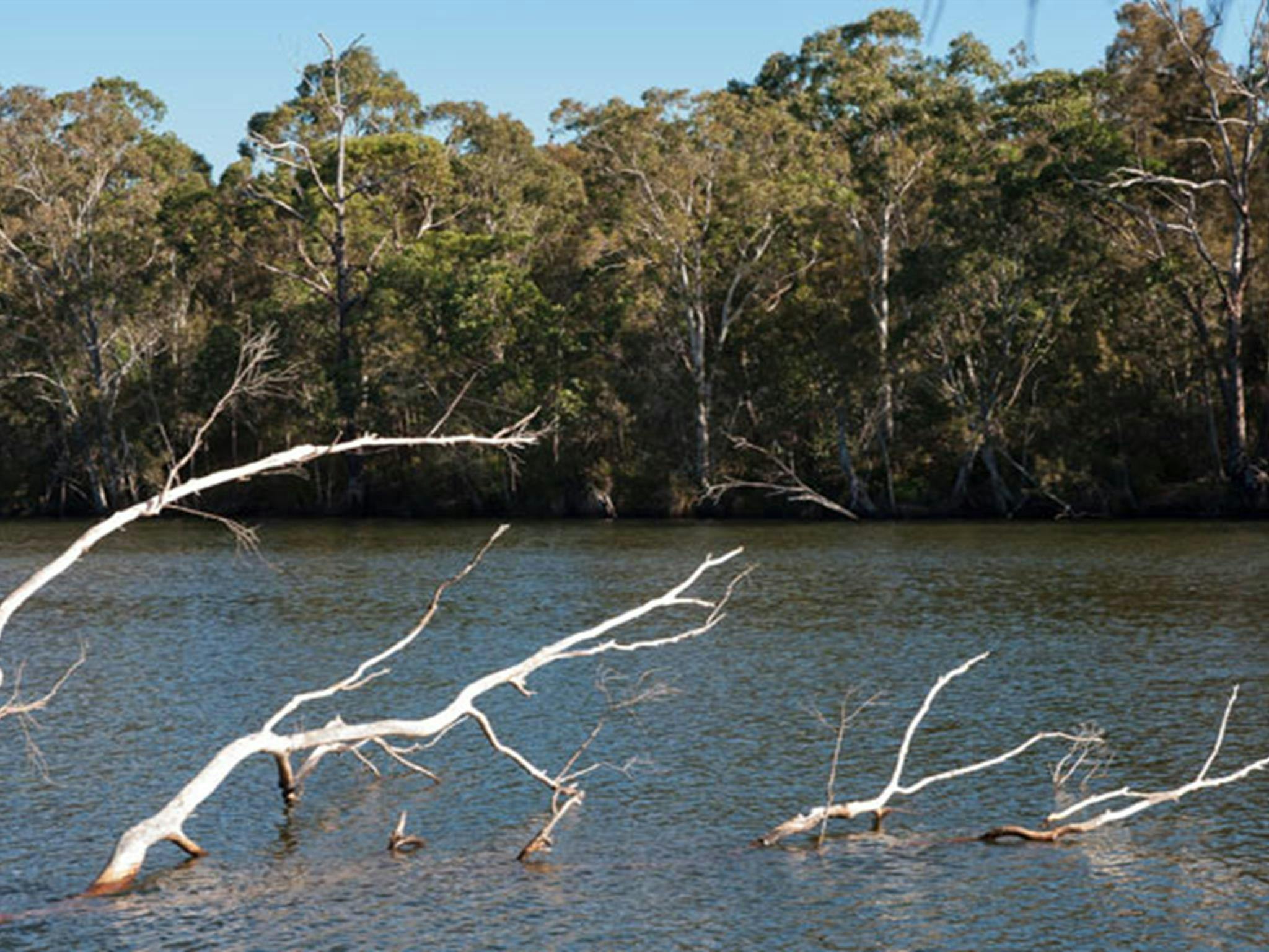Delta Track, Corramy Regional Park. Photo: Michael van Ewijk &copy; OEH