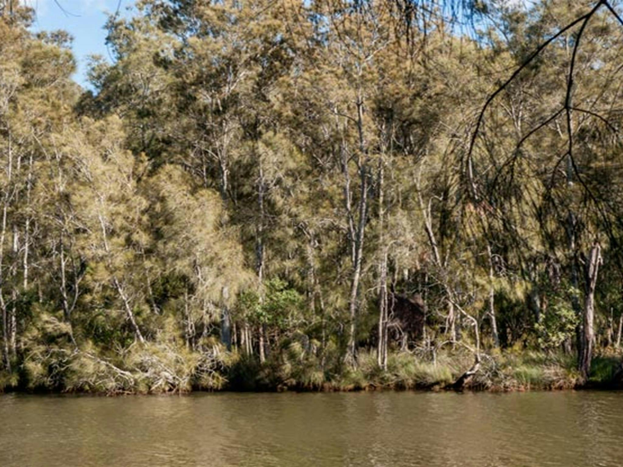 Wanlandian Creek, Corramy Regional Park. Photo: Michael van Ewijk &copy; OEH