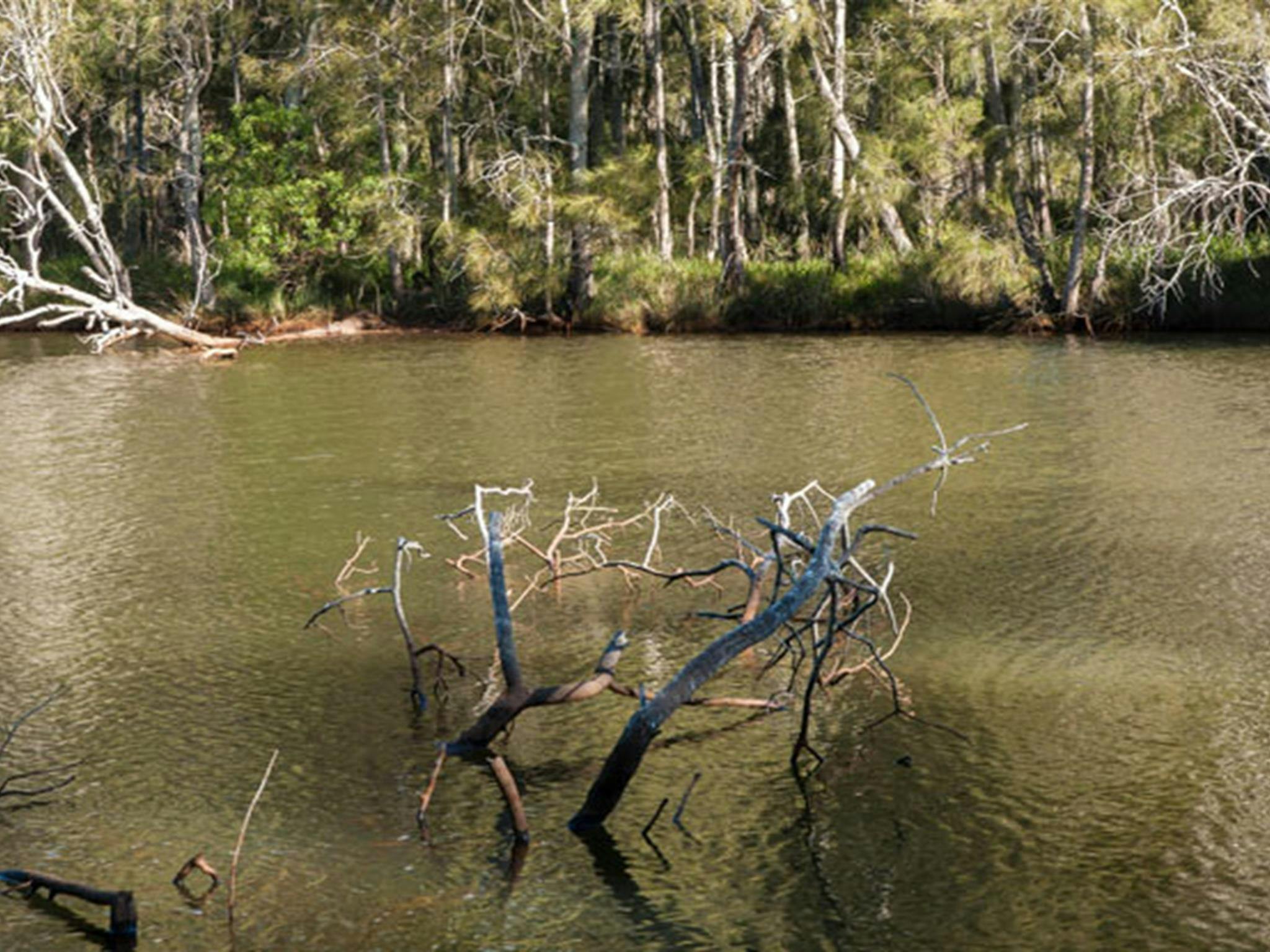 Wanlandian Creek, Corramy Regional Park. Photo: Michael van Ewijk &copy; OEH
