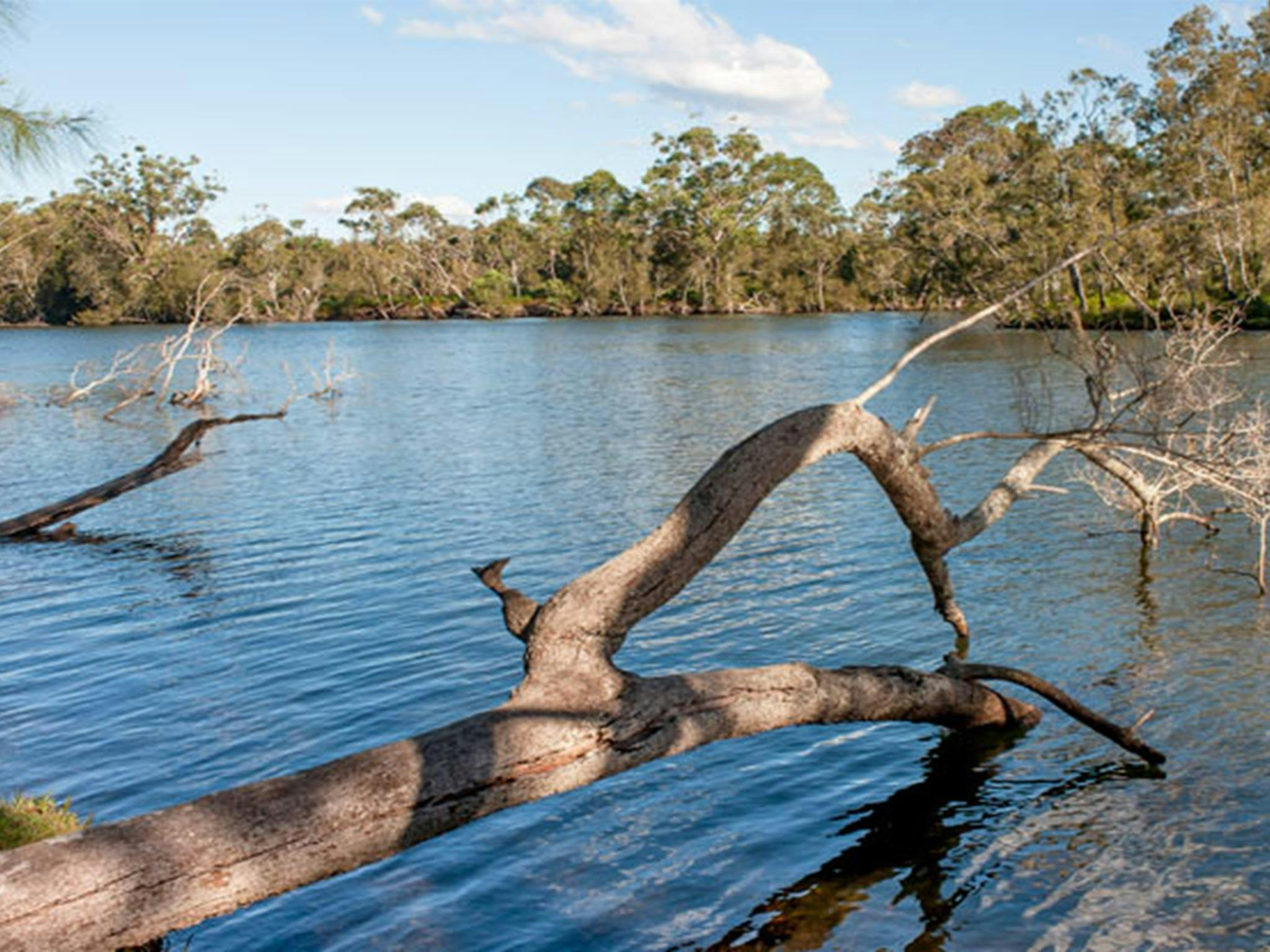 Wandandian Creek, Corramy Regional Park. Photo: Michael van Ewijk &copy; OEH