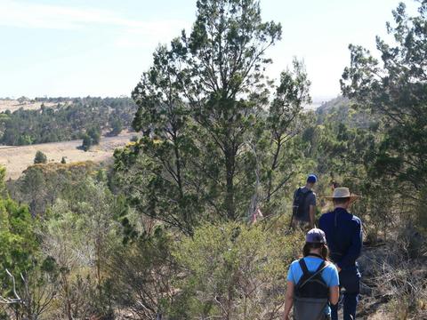 Kinchina Conservation Park