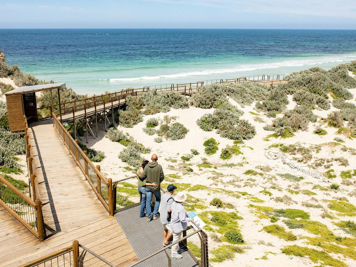 Seal Bay Beach Experience