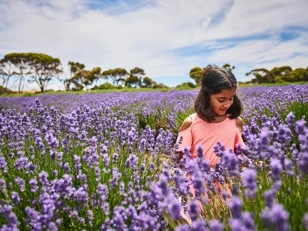 A Taste of Kangaroo Island