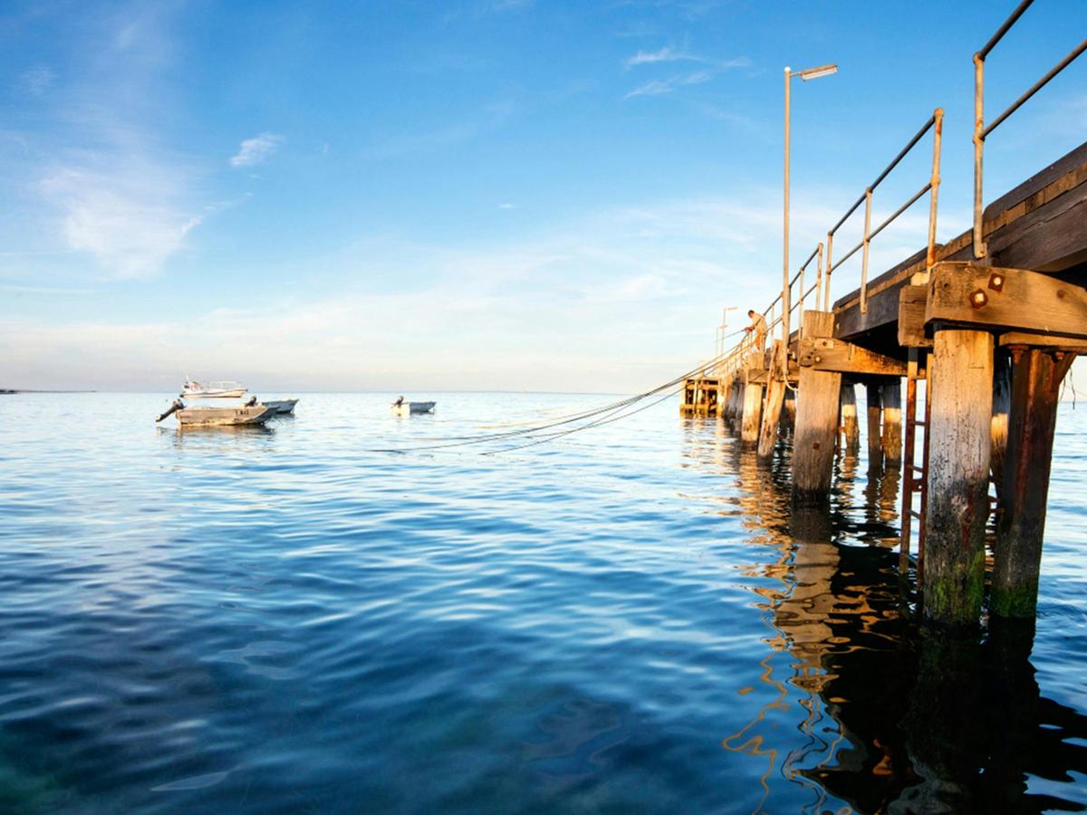 Kangaroo Island Half-Day Tour