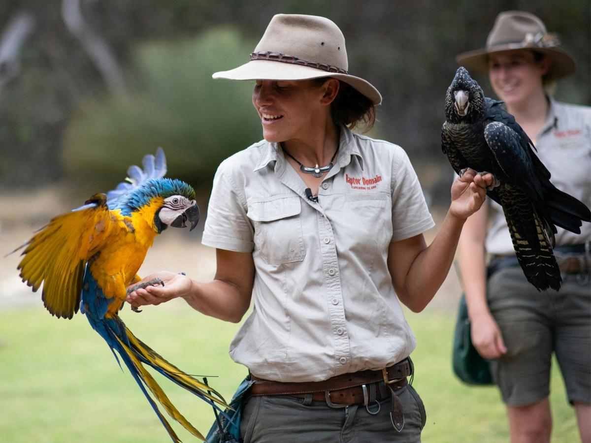 Kangaroo Island Iconic Sights and Wildlife