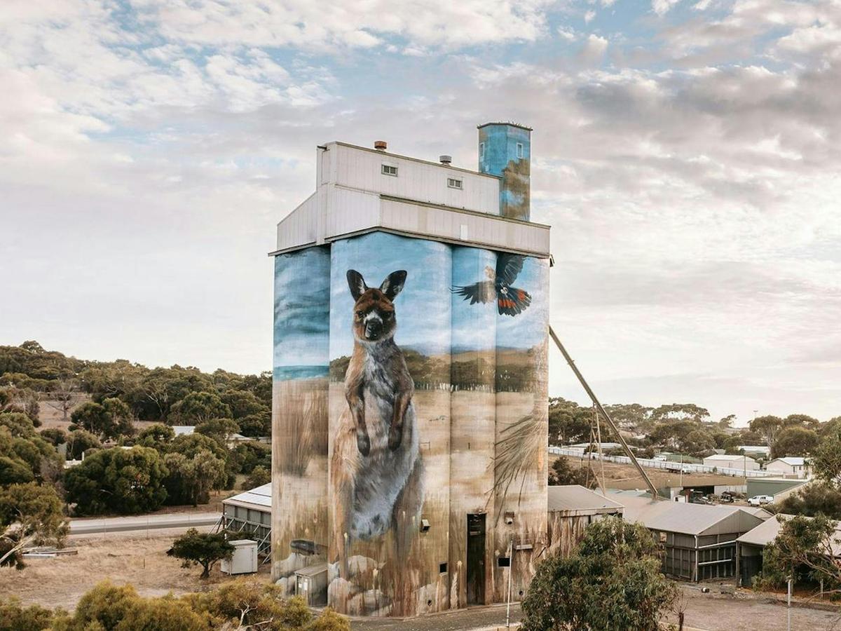 Kangaroo Island Half-Day Tour