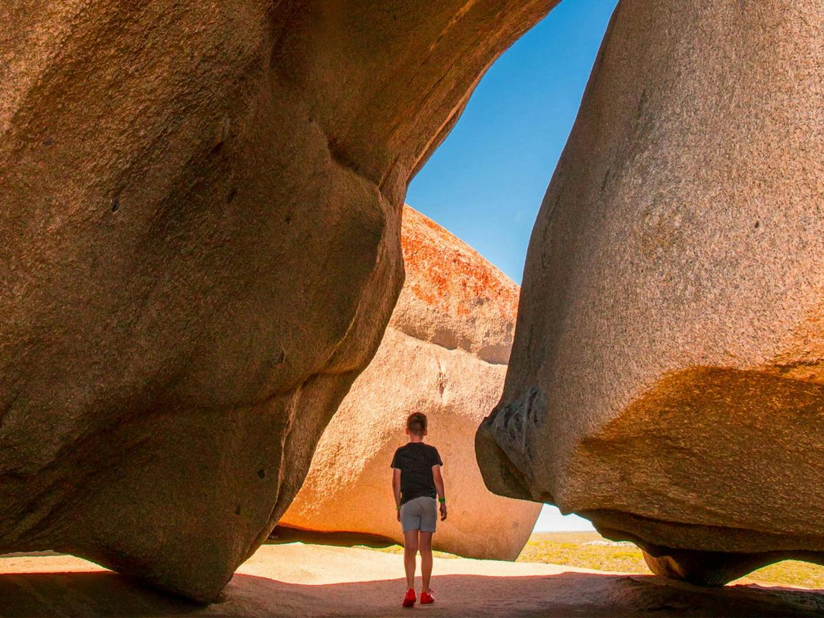 Kangaroo Island Iconic Sights and Wildlife