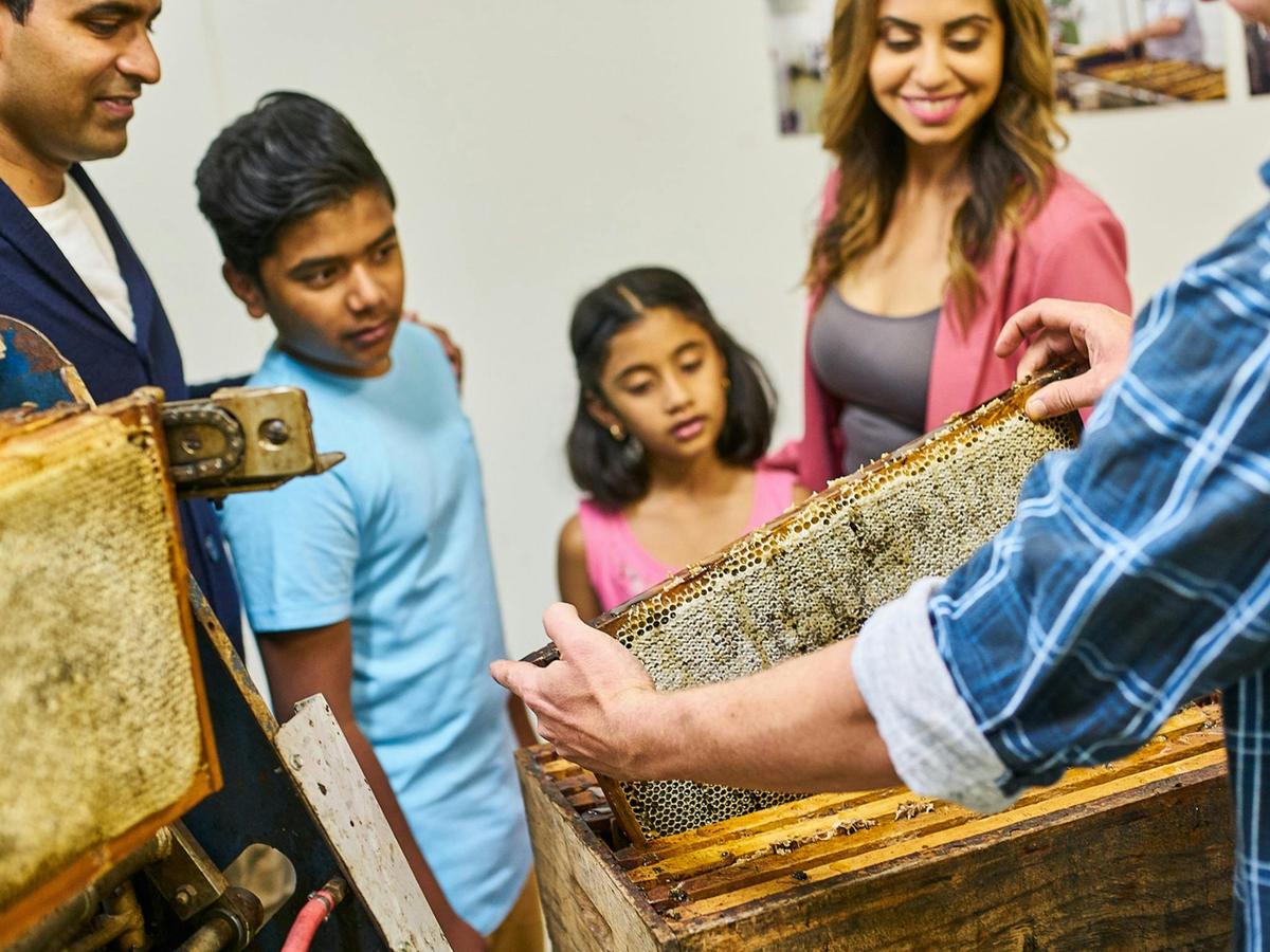 Ligurian Bee Co Honey Tasting
